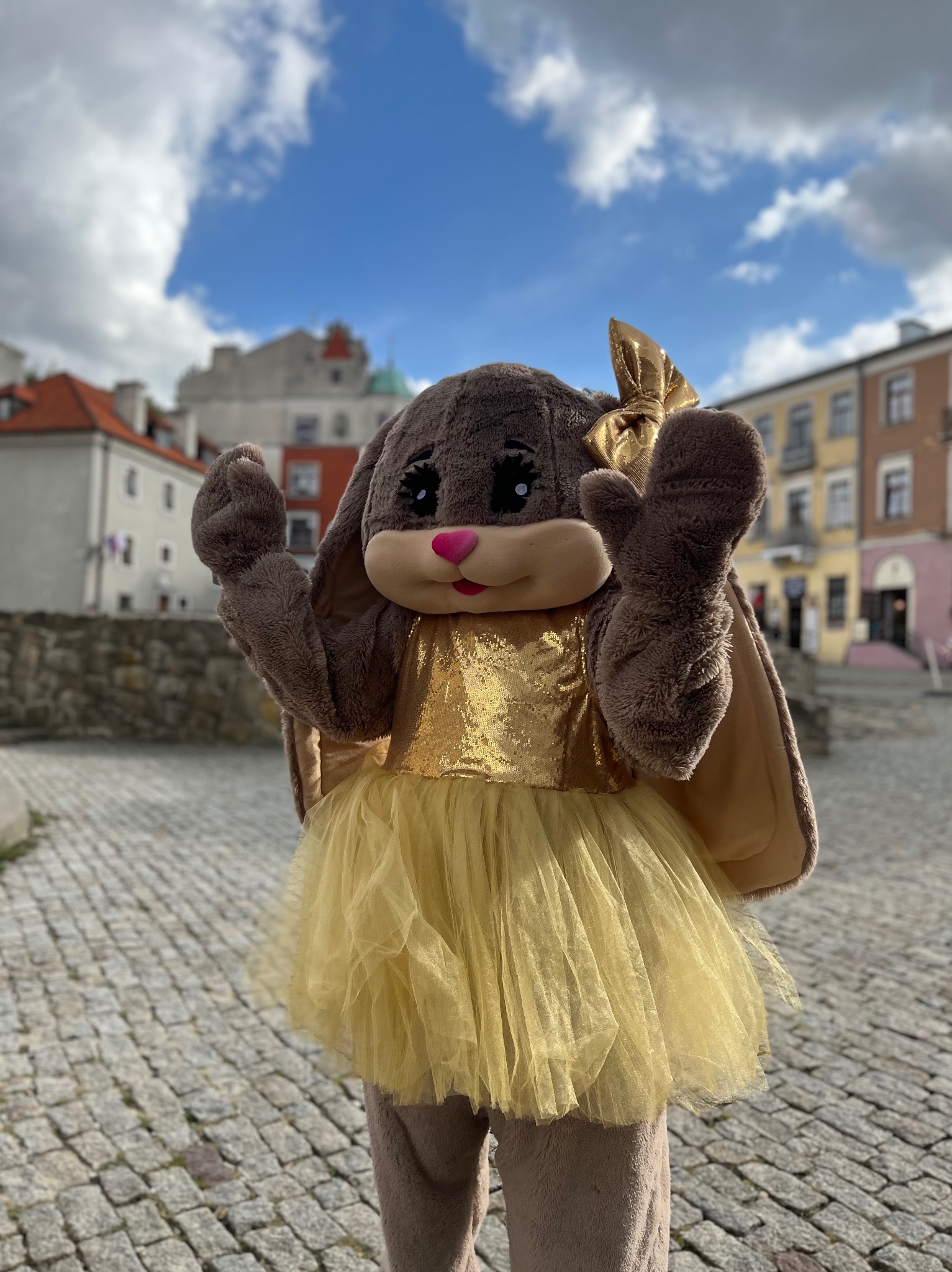 Żywa maskotka - królik Lexy.