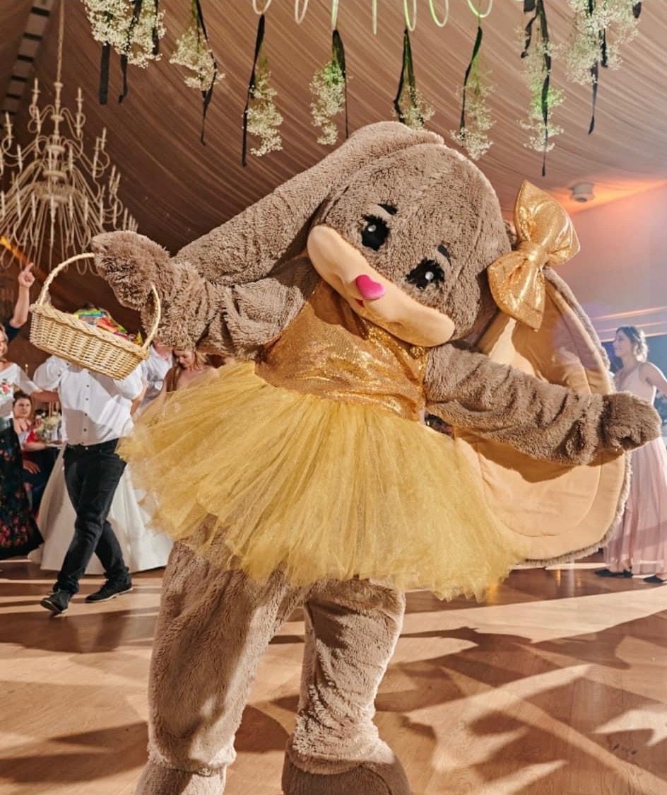 Królik Lexy na weselu.