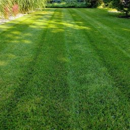 Szymon Wrzeszcz - Zakładanie ogrod&oacute;w Poznań