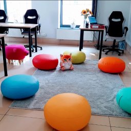 ENGLISH NAVIGATOR SPÓŁKA Z OGRANICZONĄ ODPOWIEDZIALNOŚCIĄ - Kolorowe pufy i zabawki w jasnej sali lekcyjnej z biurkami i krzesłami. Przy oknie laptop i słoneczniki. Przyjazna przestrzeń edukacyjna dla dzieci.