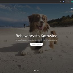 Michał Siwiec - Zrzut ekranu strony 'przezogondoserca.pl' z uśmiechniętym psem na piaszczystej plaży. Widoczny nagłówek 'Behawiorysta Katowice' i przycisk 'SKONTAKTUJ SIĘ'.