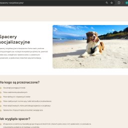 Michał Siwiec - Zrzut ekranu strony internetowej 'przezogondoserca.pl' o spacerach socjalizacyjnych dla psów, z uśmiechniętym owczarkiem australijskim leżącym na piaszczystej plaży.