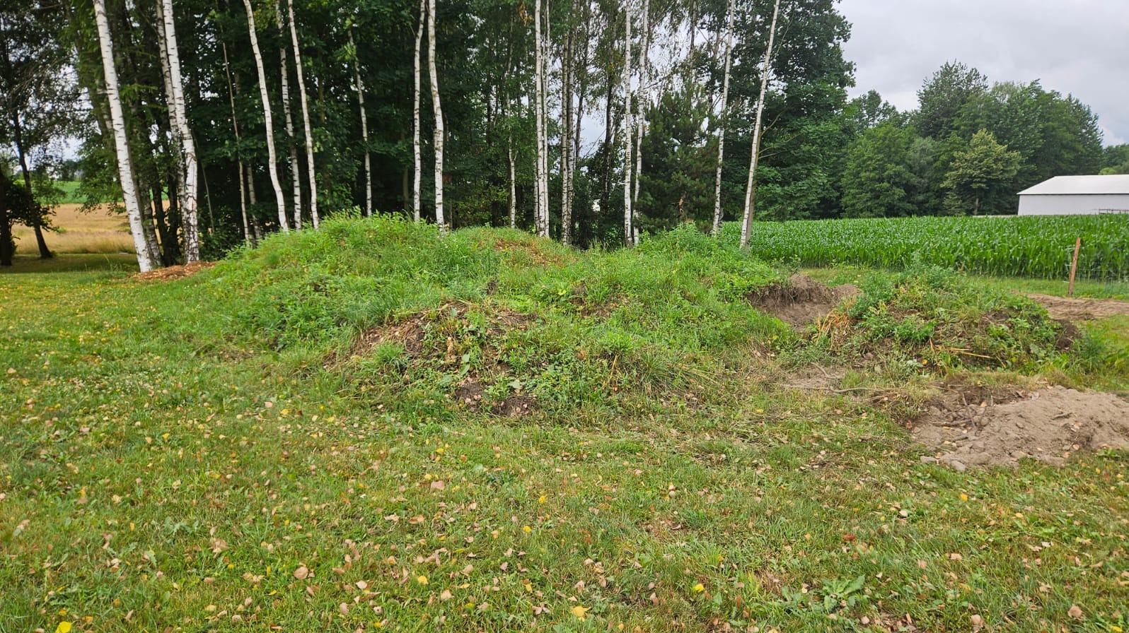 Niwelacja, równanie terenu na działce.