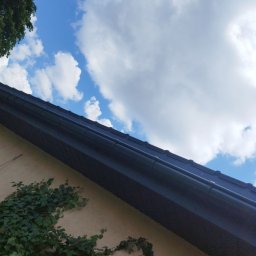 Pi3GuS-DrEwNoTyP - Ciemny dach z rynnami na tle błękitnego nieba z chmurami, fragment ściany budynku z bluszczem. Ujęcie z dołu, podkreślające kontrast kolorów i faktur.