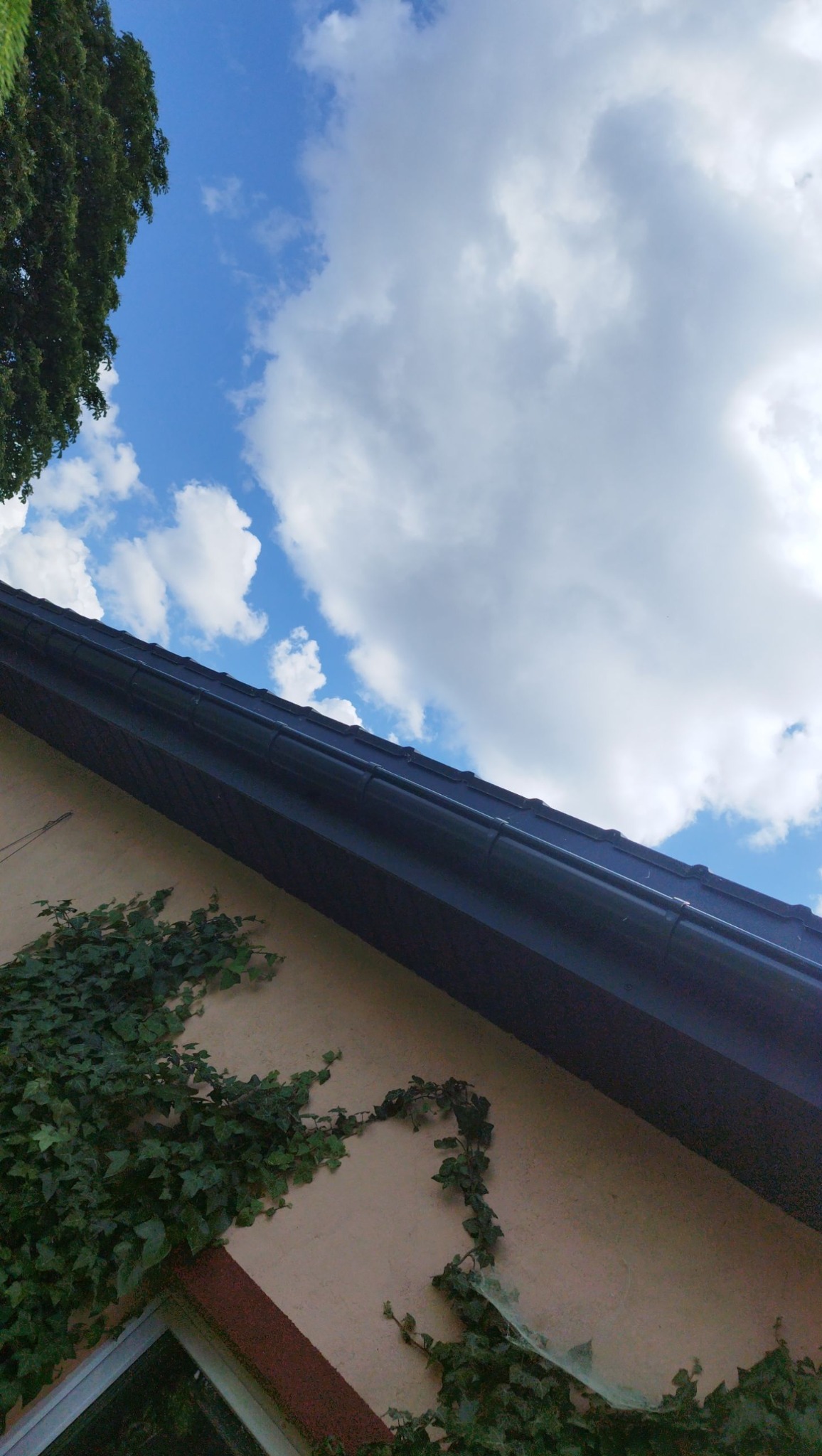 Ciemny dach z rynnami na tle błękitnego nieba z chmurami, fragment ściany budynku z bluszczem. Ujęcie z dołu, podkreślające kontrast kolorów i faktur.