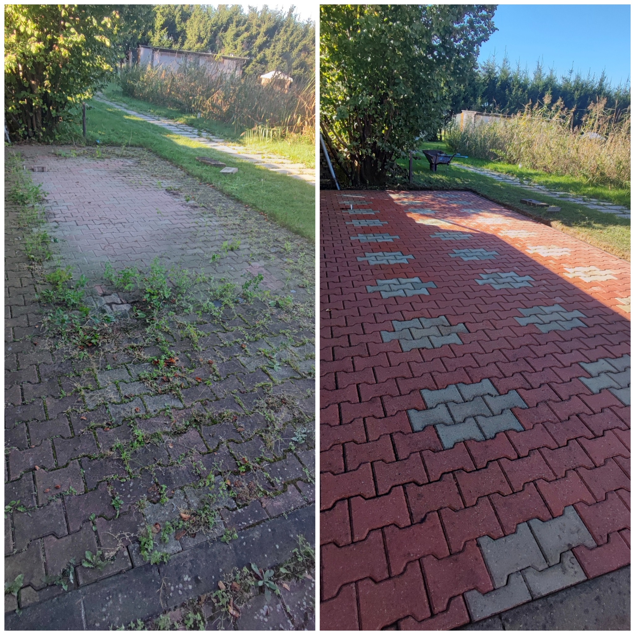 Zdjęcie 'przed i po' prezentujące efekt czyszczenia kostki brukowej na posesji. Po lewej kostka zarośnięta, po prawej czysta, czerwono-szara kostka brukowa.