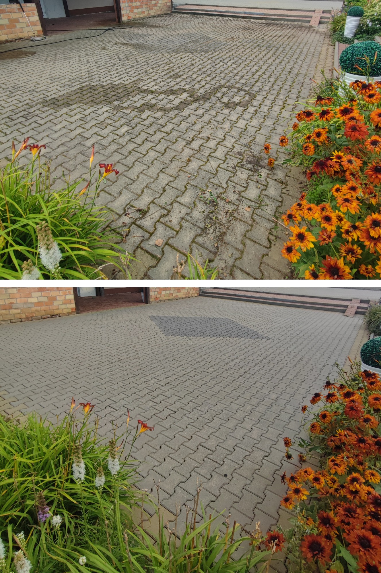 Efekt przed i po: szara kostka brukowa, po lewej częściowo pokryta mchem i zabrudzeniami, po prawej czysta, otoczona zielenią i pomarańczowymi kwiatami.