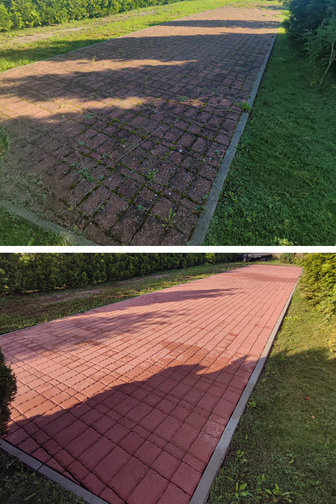 Zdjęcie 'przed i po' czyszczenia czerwonej kostki brukowej. Górna część z mchem i zabrudzeniami, dolna - czysta, mokra kostka. Widoczne trawnik i krzewy.