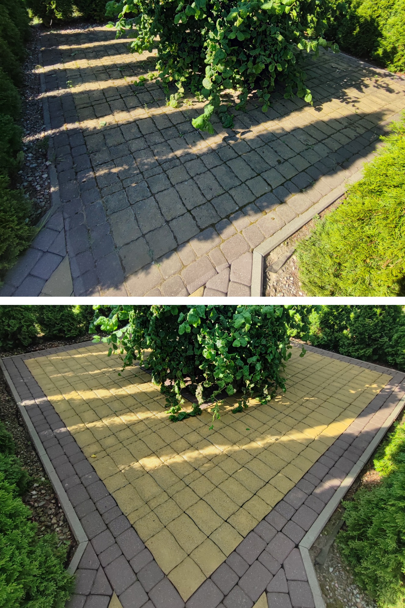 Porównanie kostki brukowej przed i po czyszczeniu, otoczonej zielenią. Górna część zdjęcia pokazuje zabrudzoną kostkę, dolna - wyczyszczoną, z żółtym odcieniem.