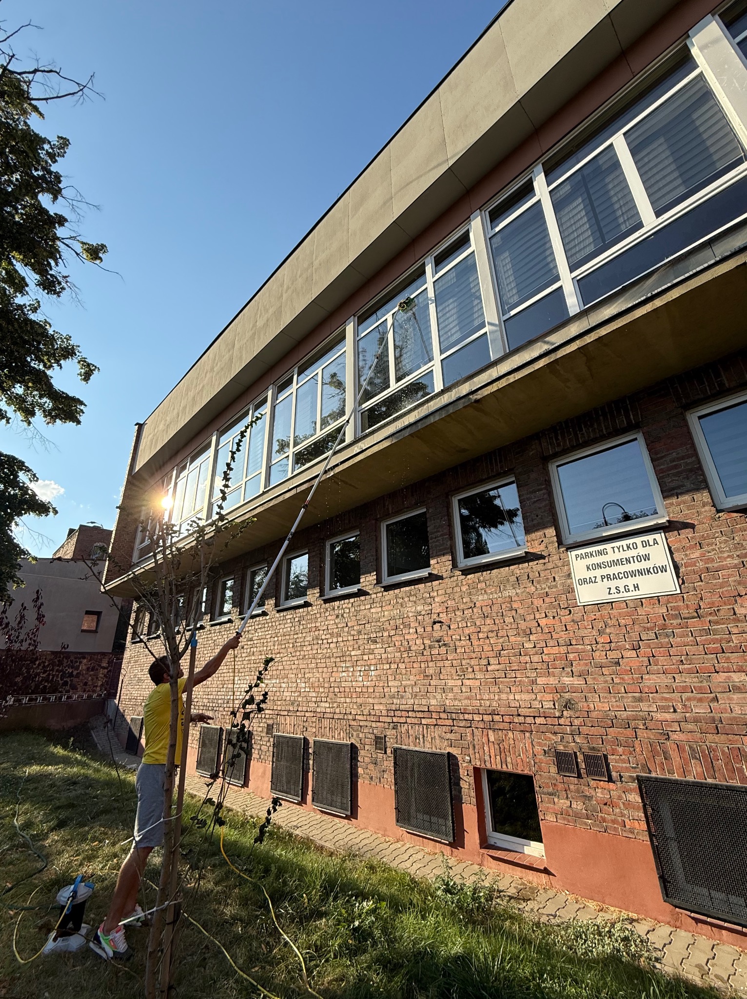 Mężczyzna myje okna budynku z cegły za pomocą długiej lancy teleskopowej. Widoczne okna z żaluzjami, trawnik i drzewo. Słoneczny dzień.