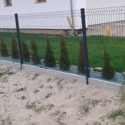 Nowoczesne ogrodzenie panelowe z ciemnymi słupkami i podmurówką, obsadzone młodymi tujami, widok z zewnątrz posesji.