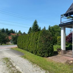 Nova Zieleń -JAKUB BIENIA - 