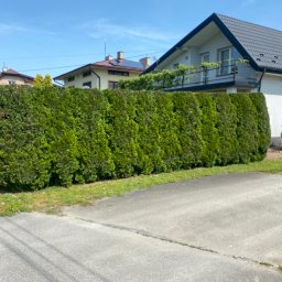 Nova Zieleń -JAKUB BIENIA - 