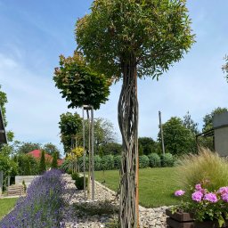 Nova Zieleń -JAKUB BIENIA - Firma Ogrodnicza Łężany