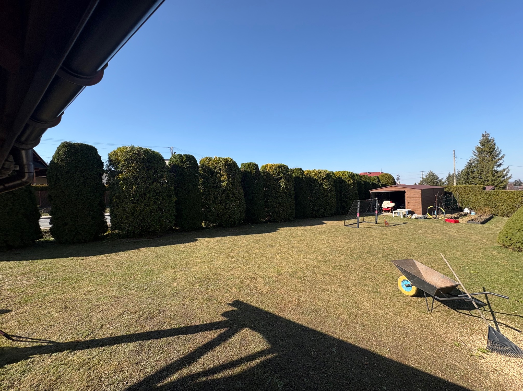 Zadbany trawnik z rzędem tuj, w tle domek narzędziowy i sprzęt ogrodniczy (taczka, grabie). Cień dachu w lewym dolnym rogu. Słoneczny dzień.