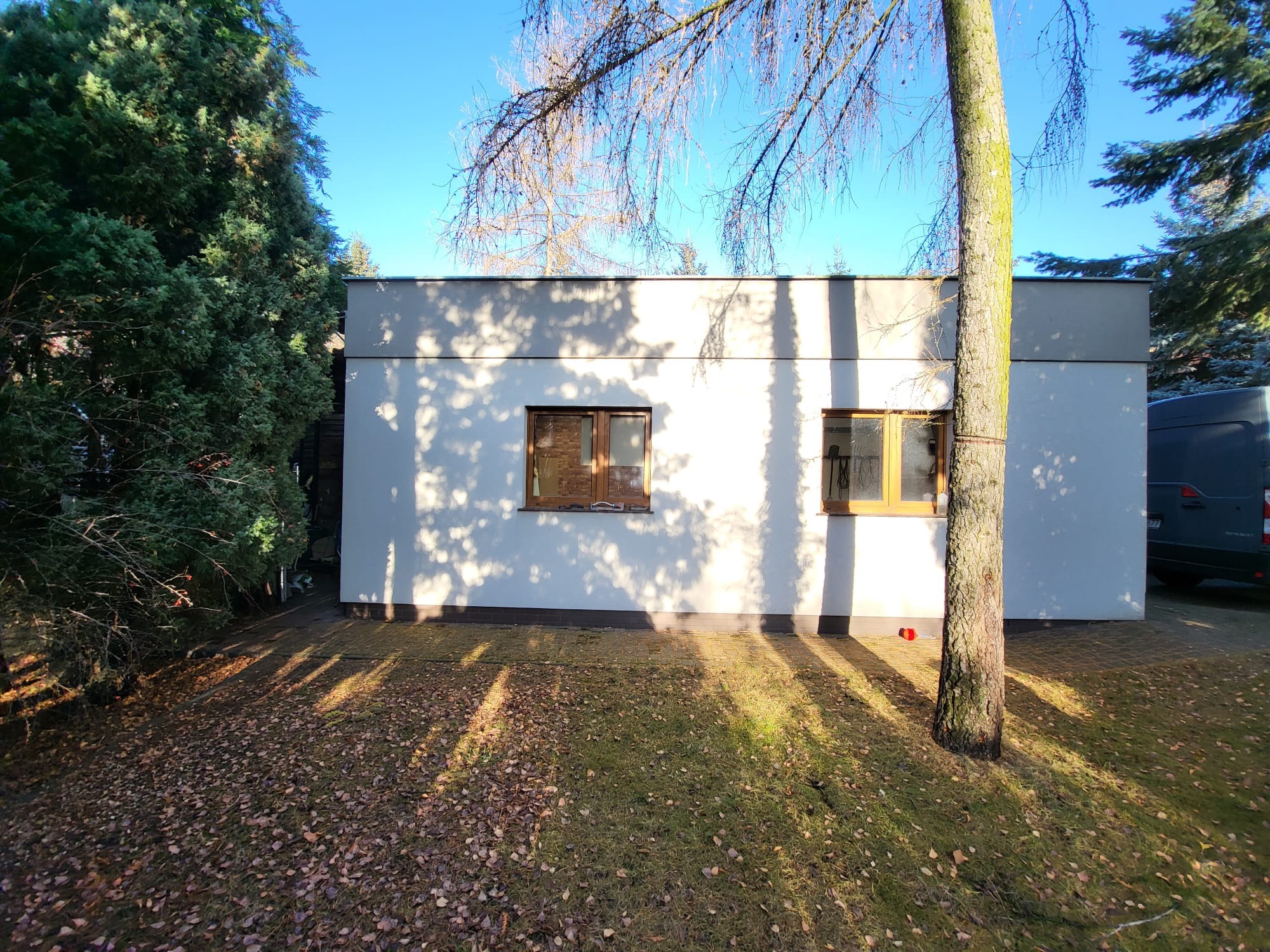 Nowoczesny, parterowy dom z płaskim dachem, oświetlony promieniami słońca, z widocznymi oknami i drzewem na pierwszym planie. Minimalistyczna architektura w otoczeniu zieleni.