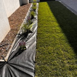 NAK SOLUTIONS SPÓŁKA Z OGRANICZONĄ ODPOWIEDZIALNOŚCIĄ - Fragment ogrodu w trakcie tworzenia: rozłożona czarna agrowłóknina, świeżo posadzone rośliny, trawnik i kamienna rabata wzdłuż ściany budynku.