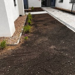 NAK SOLUTIONS SPÓŁKA Z OGRANICZONĄ ODPOWIEDZIALNOŚCIĄ - Przygotowany teren pod nasadzenia z obrzeżami z kamieni i kostki, świeżo posadzona niska roślinność ozdobna wzdłuż ścieżki z kostki brukowej przy budynku.