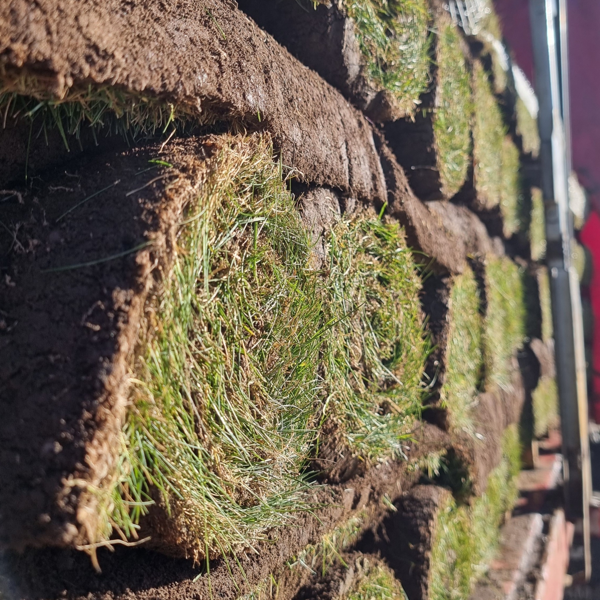 Ułożone warstwami rolki świeżej, zielonej trawy z widoczną strukturą darni i korzeniami, przygotowane do transportu lub rozłożenia w ogrodzie.