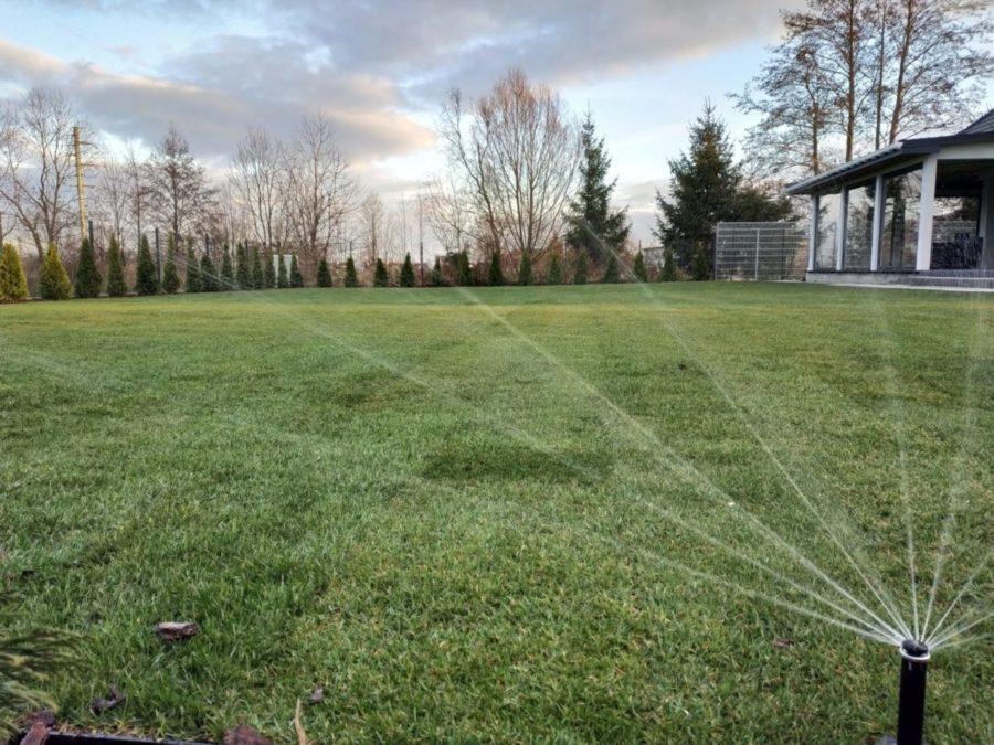 Nawodniony trawnik zraszaczem rotacyjnym na tle domu i drzew iglastych. Widok na zadbany ogród z systemem nawadniania w pochmurny dzień.