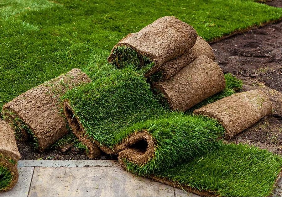 Zrolowana trawa w rolkach, częściowo rozwinięta, ukazująca intensywną zieleń trawy i strukturę podłoża, ułożona na kostce brukowej i ziemi.