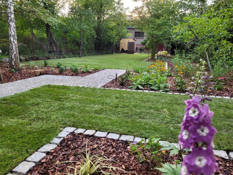 Uporządkowany ogród z trawnikiem, ścieżką z kostki i rabatami kwiatowymi. Kora rozsypana wokół roślin. W tle widoczny budynek i drzewa.