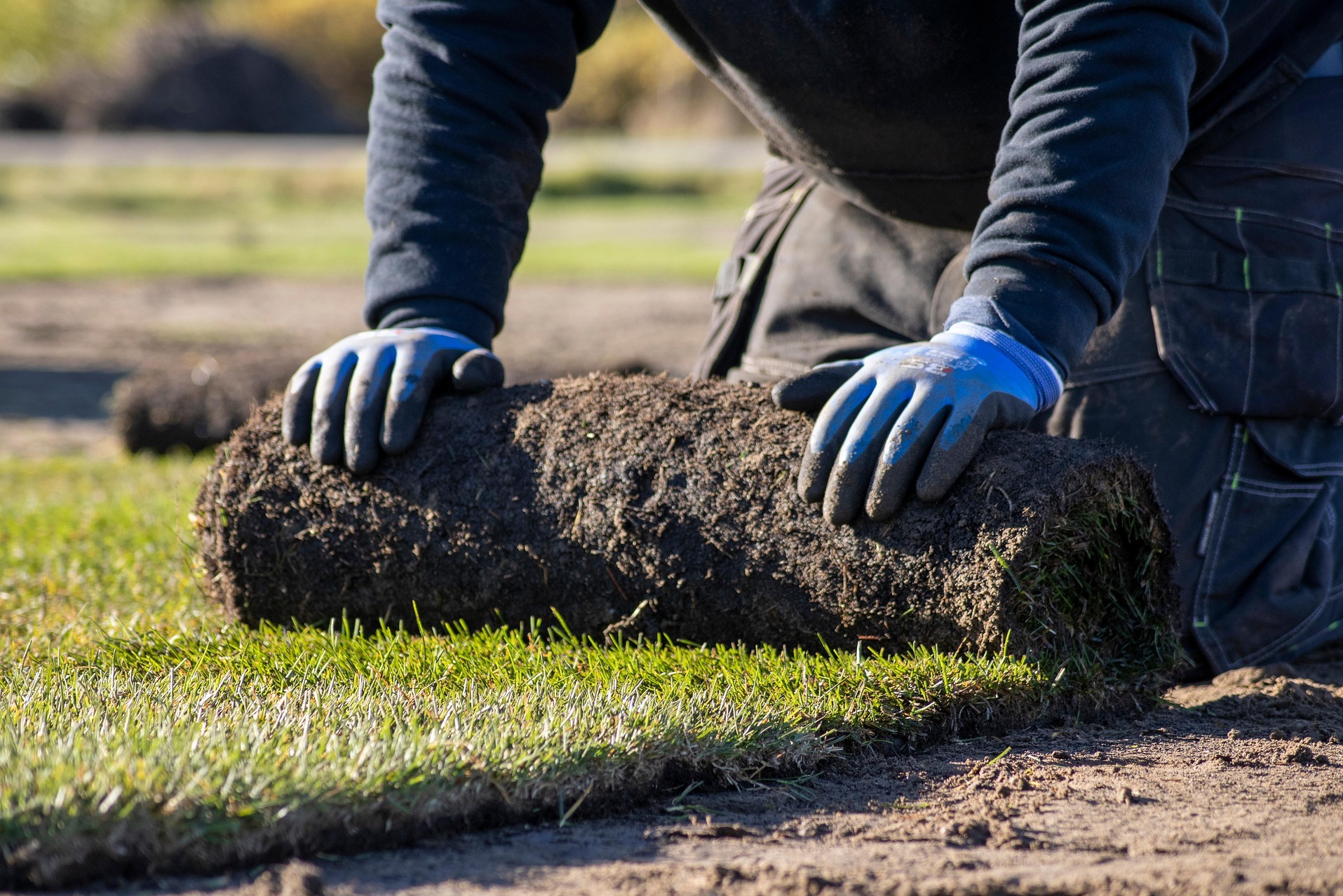 Rolka trawy z bliska, układana przez ogrodnika w niebieskich rękawicach. Widoczne świeże, zielone źdźbła i ciemna ziemia. W tle rozmyte otoczenie.