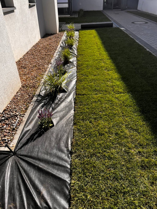 Fragment ogrodu w trakcie tworzenia: rozłożona czarna agrowłóknina, świeżo posadzone rośliny, trawnik i kamienna rabata wzdłuż ściany budynku.