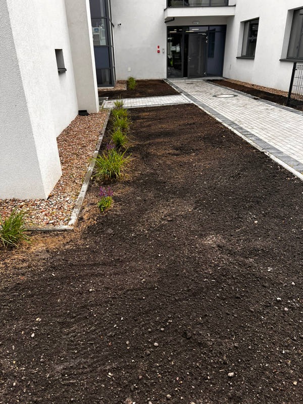 Przygotowany teren pod nasadzenia z obrzeżami z kamieni i kostki, świeżo posadzona niska roślinność ozdobna wzdłuż ścieżki z kostki brukowej przy budynku.