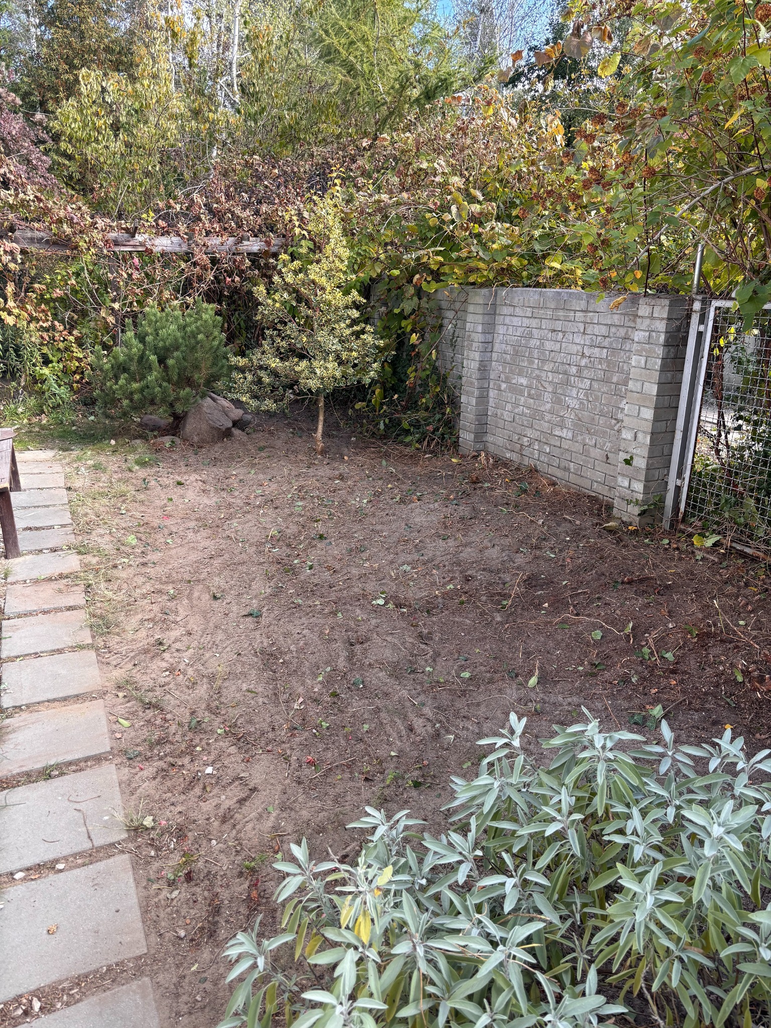 Po oczyszczaniu działki