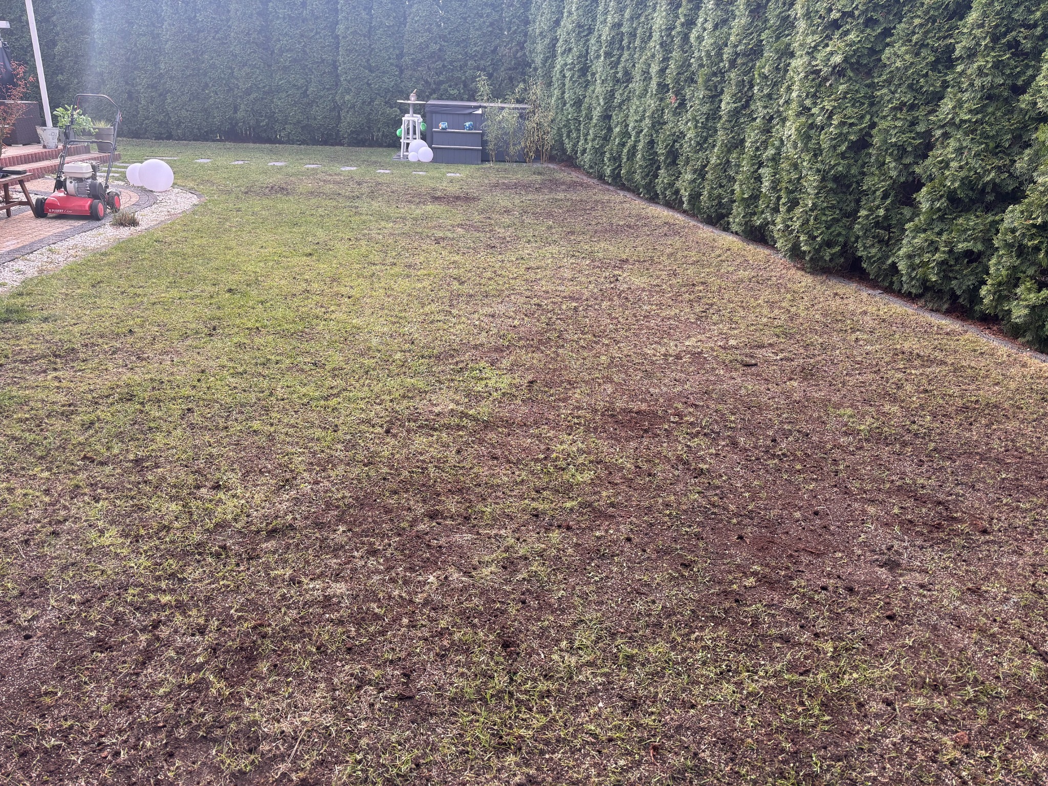 w trakcie renowacji trawnika