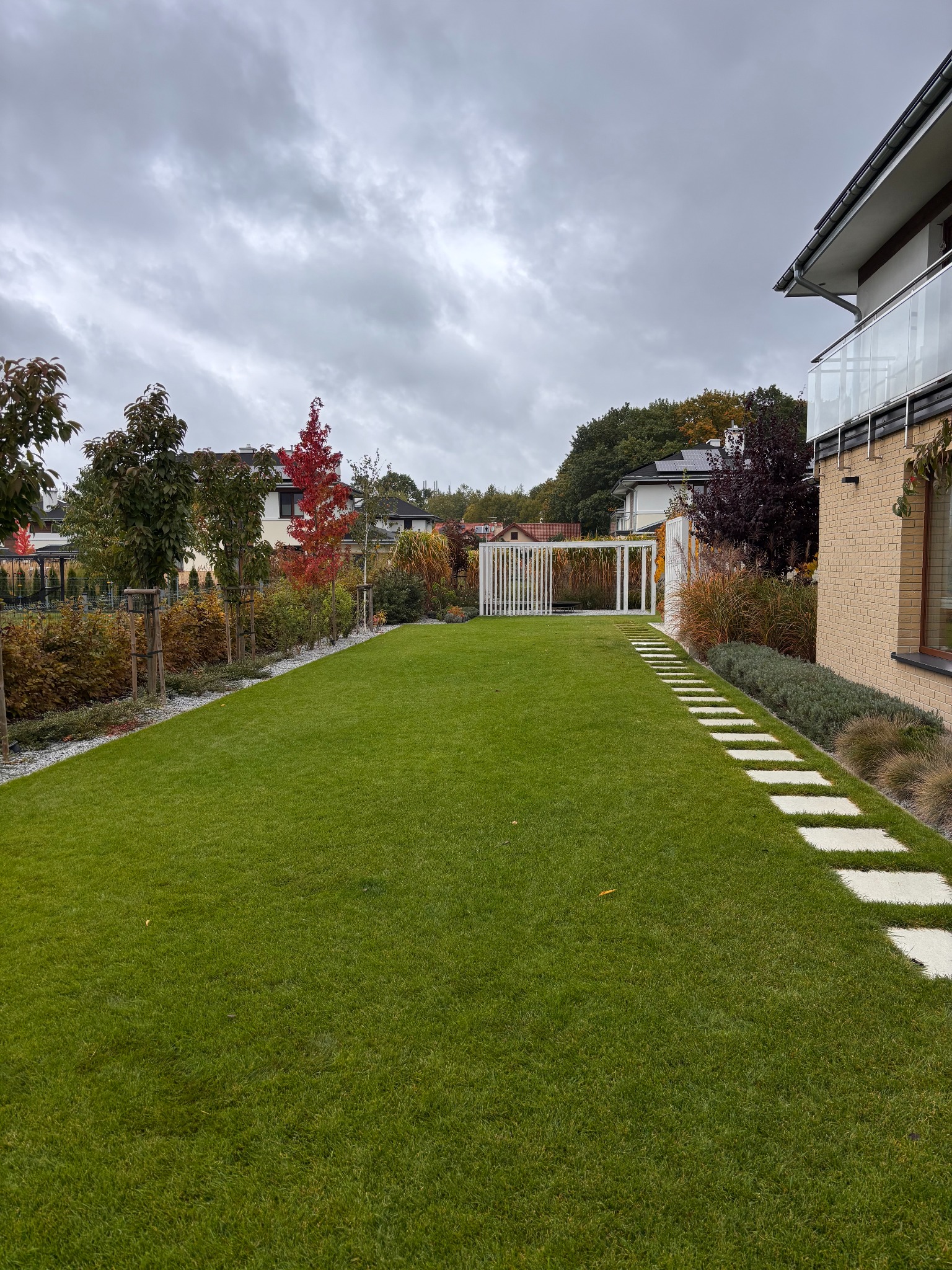 efekty trawnika po renowacji