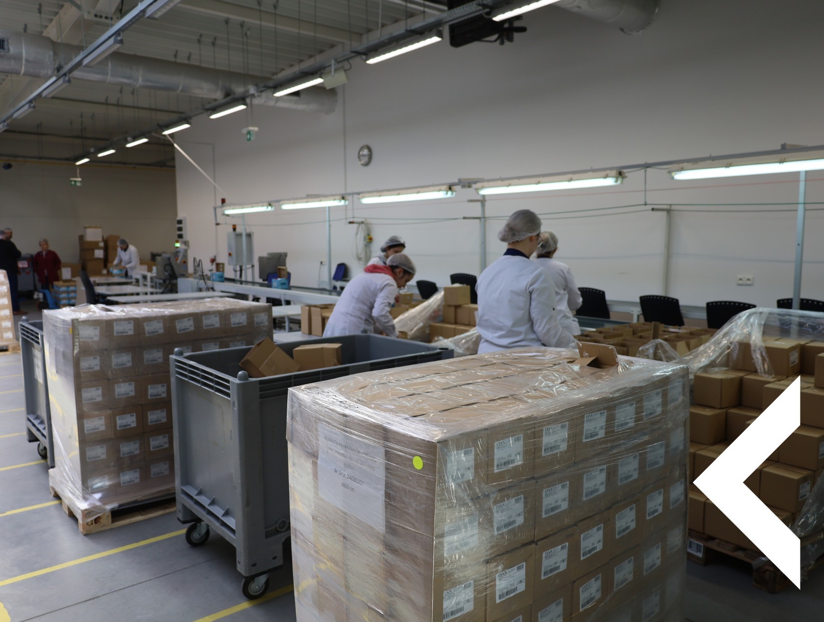 Wnętrze hali produkcyjnej z pracownikami pakującymi kartony, ustawione na paletach i w wózkach transportowych, przygotowane do wysyłki.