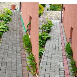 Pan Lanca Mycie Wysokociśnieniowe - Zabrudzona, ciemnoszara kostka brukowa przy brzoskwiniowej ścianie i hostach z fioletowymi kwiatami, obok czysta, jasna kostka z czerwonymi akcentami – efekt mycia.