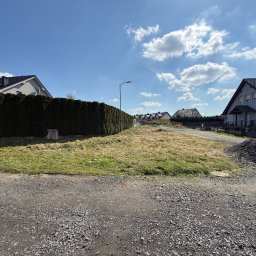 Sebastian Płachecki firma budowlano-ogrodnicza - Sadzenie drzew i krzew&oacute;w Zgorzelec