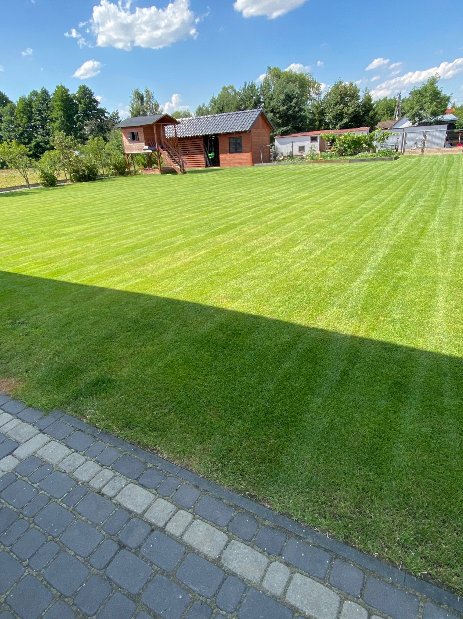 Perfekcyjnie skoszony trawnik z wyraźnymi pasami, domek na drzewie w tle, kostka brukowa w rogu kadru. Słoneczny dzień, błękitne niebo z chmurami.