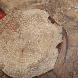 WoodCreft Zgarda - Szafy na wymiar Śrem