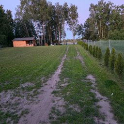 Paweł Kokociński - Widok na zadbany trawnik z wyjeżdżoną ścieżką prowadzącą do jeziora, obok drewniana altana i rząd tuj wzdłuż ogrodzenia. Poranne światło.