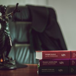 Kancelaria Adwokacka Adw. Karol Niewiarowski - Adwokat Lublin - Temida z kodeksami: karnym, handlowym i cywilnym na biurku. W tle fotela w kancelarii. Symbol sprawiedliwości i prawa w stonowanej kolorystyce.