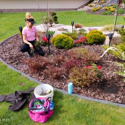 Niwińska Sarkiewicz Ogrody i Wnętrza - Kobieta w różowej koszulce sadzi rośliny w ozdobnym ogrodzie z korą, kamieniami i lampami solarnymi. Widoczny trawnik i narzędzia ogrodnicze.