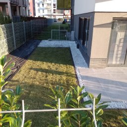 Niwińska Sarkiewicz Ogrody i Wnętrza - Nowoczesny ogród miejski: świeżo założony trawnik z rolki, białe kamienie dekoracyjne, szara kostka tarasowa, metalowe ogrodzenie. Widok zza krzewów.