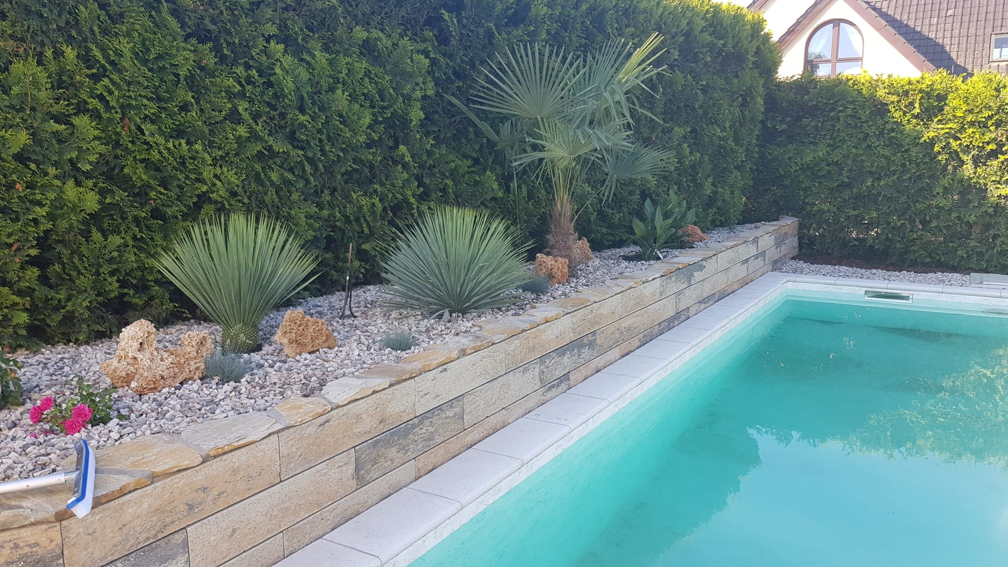 Ogród z palmami i kamieniami ozdobnymi przy basenie, otoczony żywopłotem. Mur z kamienia naturalnego oddziela roślinność od basenu. Ujęcie z bliska, w słoneczny dzień.