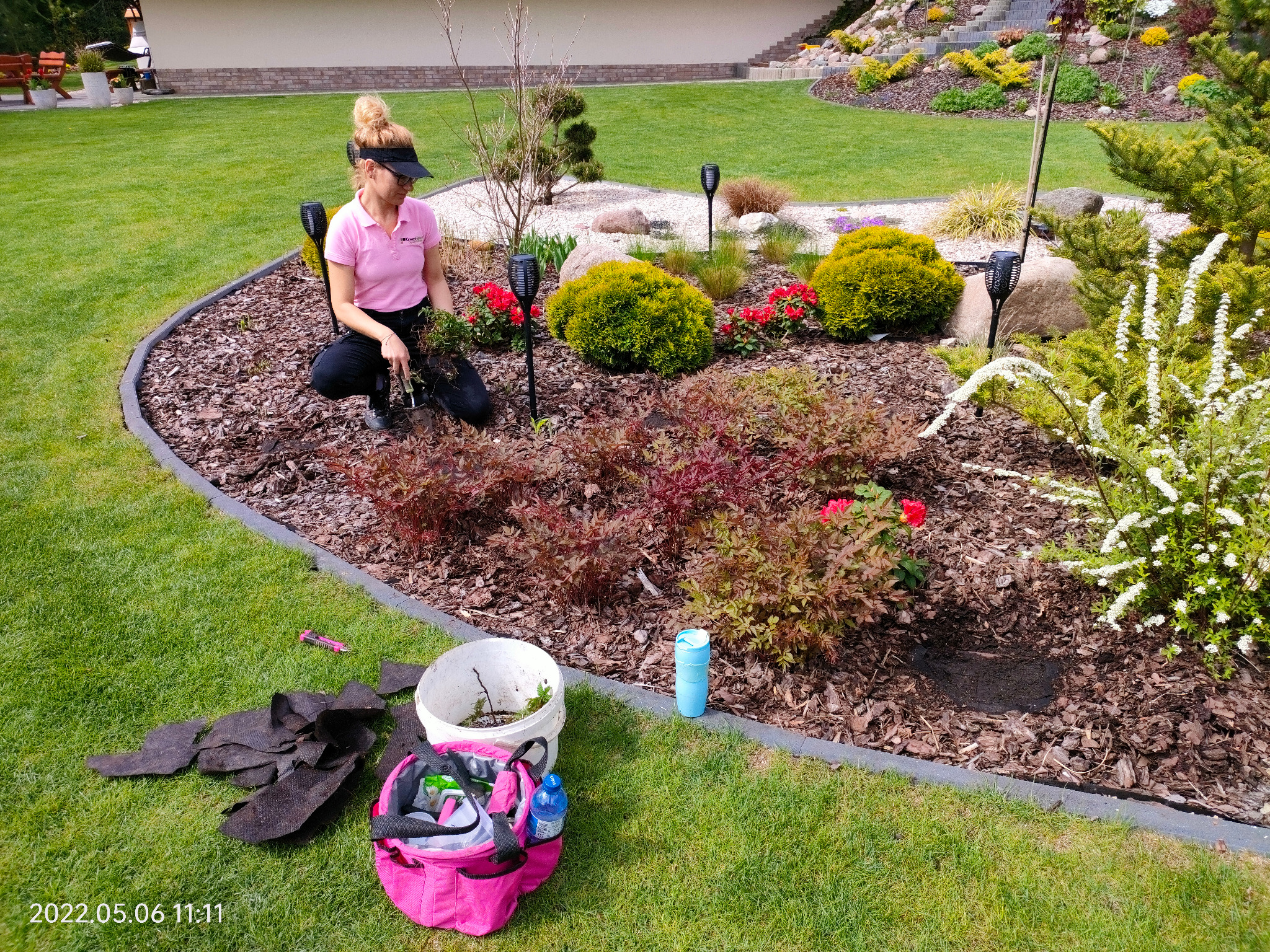 Kobieta w różowej koszulce sadzi rośliny w ozdobnym ogrodzie z korą, kamieniami i lampami solarnymi. Widoczny trawnik i narzędzia ogrodnicze.