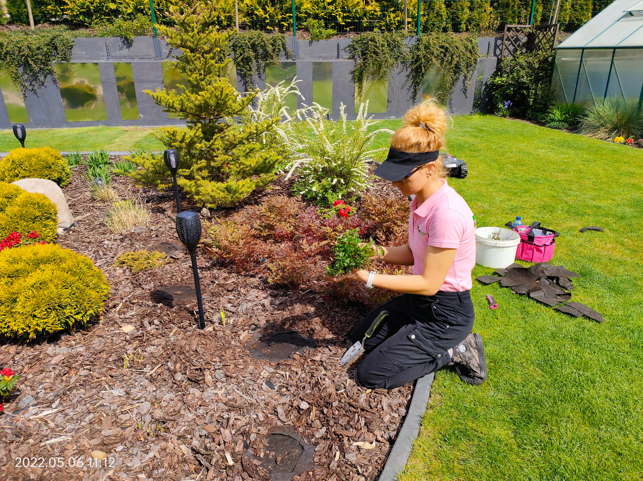 Kobieta w ogrodzie sadzi rośliny w mulczowanej rabacie, obok narzędzia ogrodnicze i lampy solarne. W tle żywopłot i szklarnia.