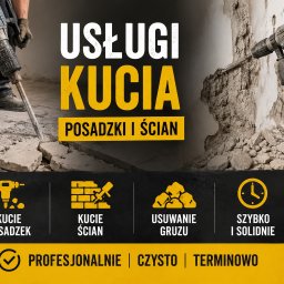 PROWYBURZENIA - 
