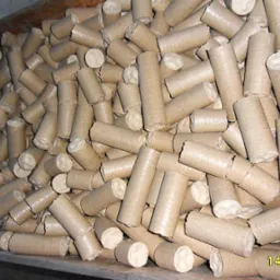 Duża skrzynia wypełniona cylindrycznymi brykietami drzewnymi o jasnobrązowej barwie, widoczne pęknięcia na niektórych brykietach, data 14/07/2010 w prawym dolnym rogu.