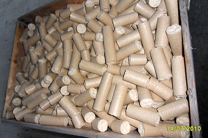 Duża skrzynia wypełniona cylindrycznymi brykietami drzewnymi o jasnobrązowej barwie, widoczne pęknięcia na niektórych brykietach, data 14/07/2010 w prawym dolnym rogu.