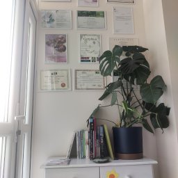 Leśne Słówka - Gabinet logopedy: ściana z certyfikatami i dyplomami, komoda z książkami i rośliną Monstera. Przytulne, profesjonalne wnętrze.