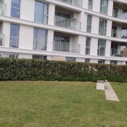 Jerzy Dmytriv - Zadbany trawnik i równo przycięty żywopłot na tle nowoczesnego budynku apartamentowego z balkonami. Widoczne elementy małej architektury ogrodowej.