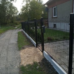 JDG OLEKSANDR VITVITSKYI - Nowoczesne, czarne panele ogrodzeniowe z podmurówką betonową, widoczne z perspektywy ścieżki. Brama wejściowa z skrzynką na listy. Dom w tle.
